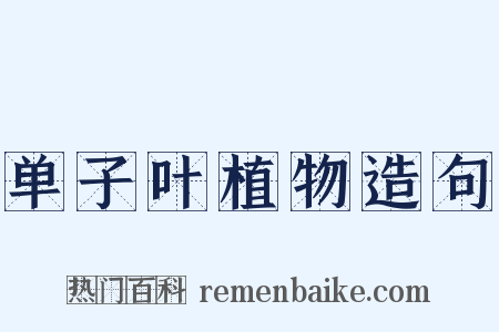 单子叶植物造句是什么意思的图片